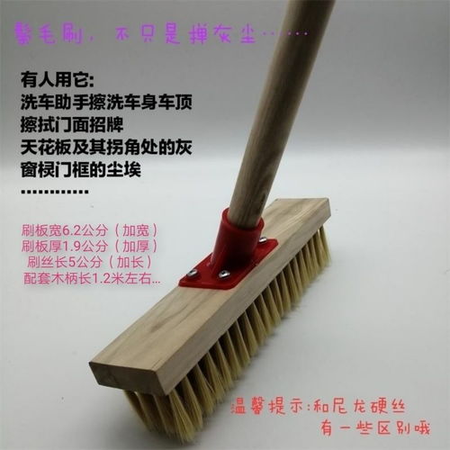 硬毛洗地刷子衛生間地板刷廚房清潔刷家用地毯刷彩色絲尼龍鬃毛